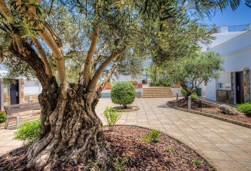 Apartamentos Piedramar