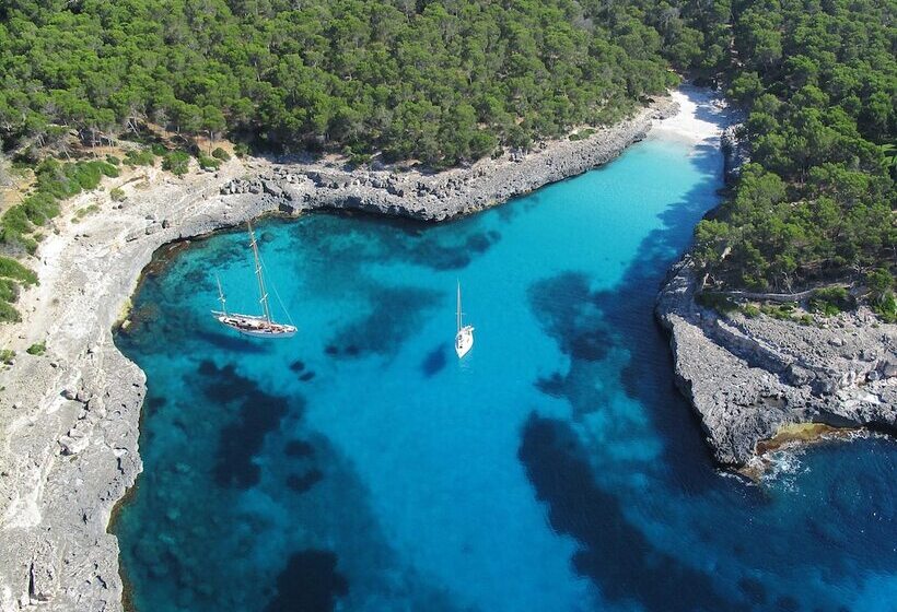 Aparthotel Niu D´aus