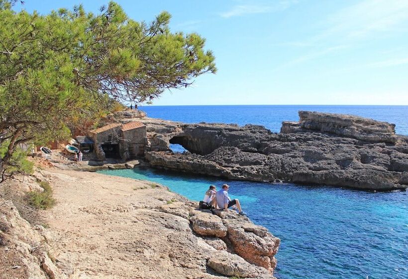 Aparthotel Niu D´aus