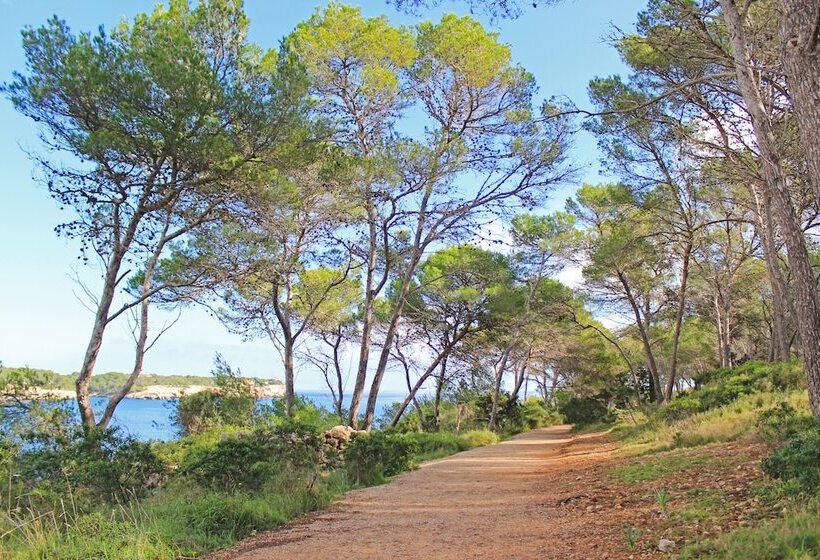 Aparthotel Niu D´aus