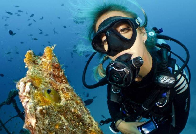 Aparthotel Niu D´aus