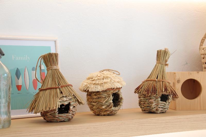 Aparthotel Niu D´aus