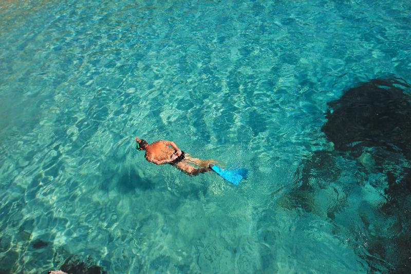 Aparthotel Niu D´aus