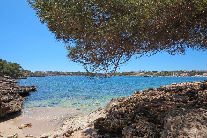 Aparthotel Niu D´aus