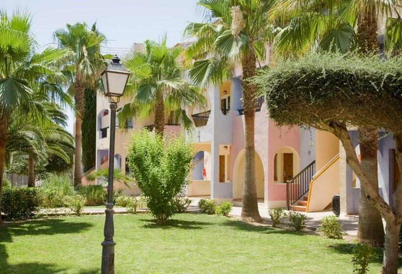 Globales Bouganvilla