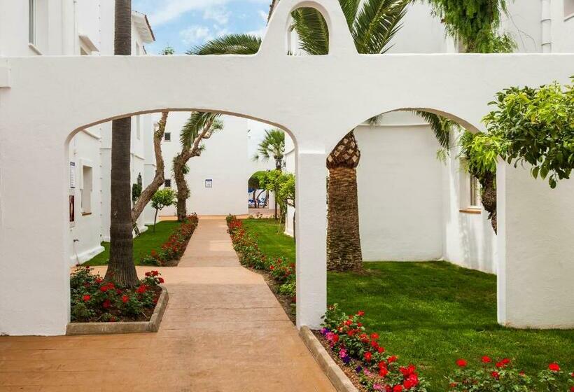 Globales Bouganvilla