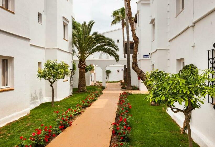 Globales Bouganvilla