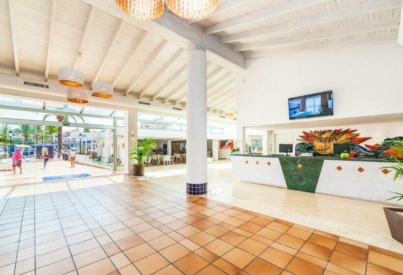 Globales Bouganvilla