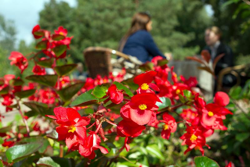 בית מלון כפרי Alfa Art