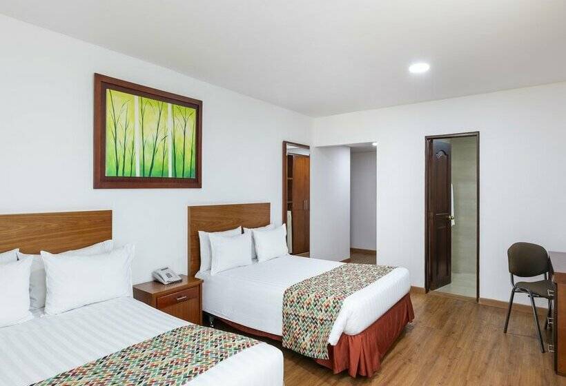 ホテル Andes Plaza