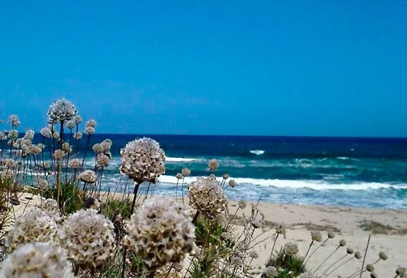 Отель Ariadimari