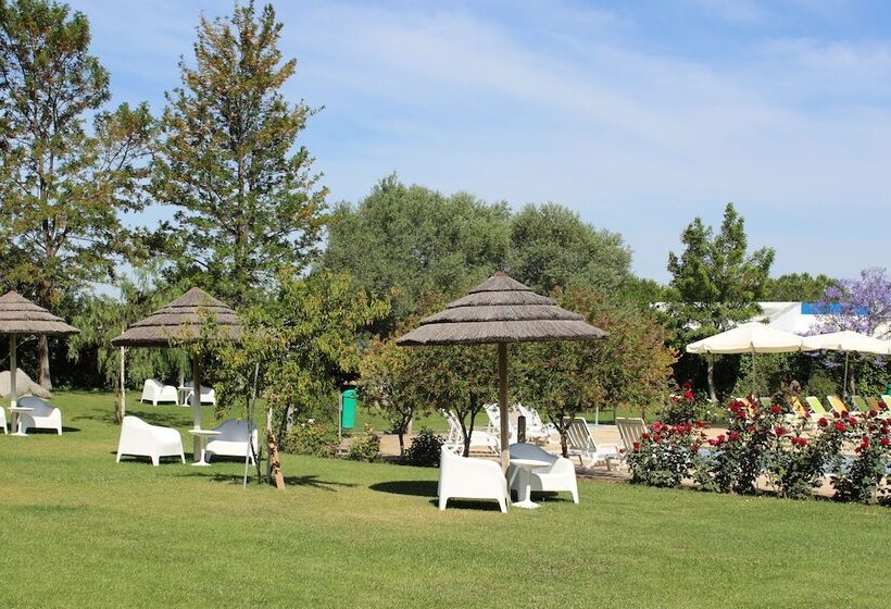 Отель Bejaparque