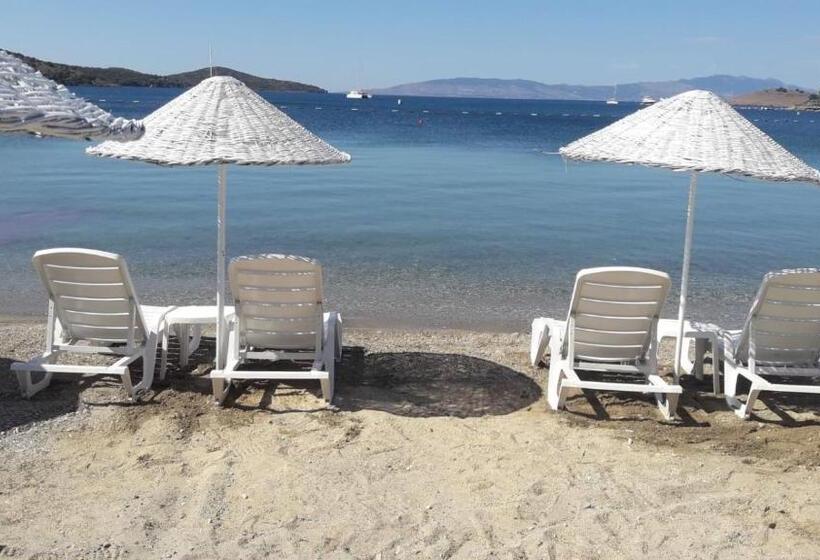 فندق Bitez Garden Life