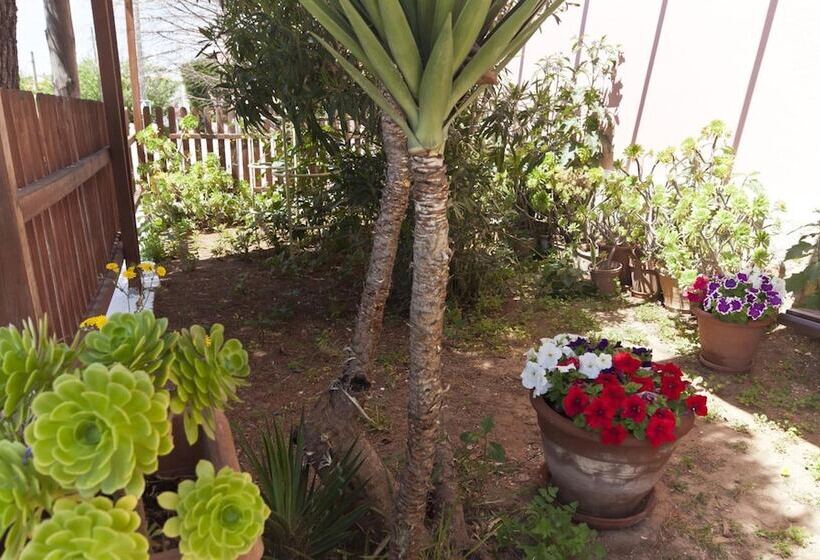 فندق Cala Bona Y Mar Blava