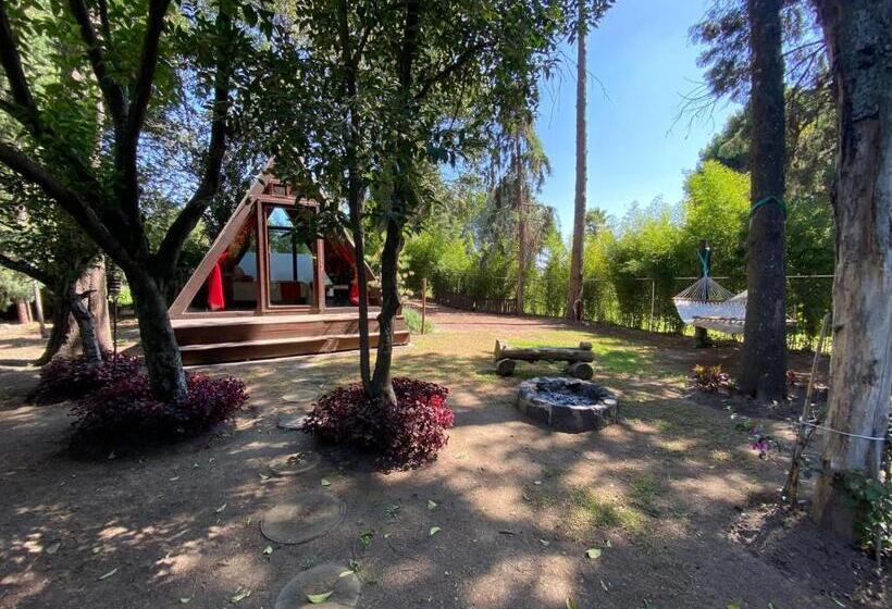 酒店 Capital O La Huerta Golf &