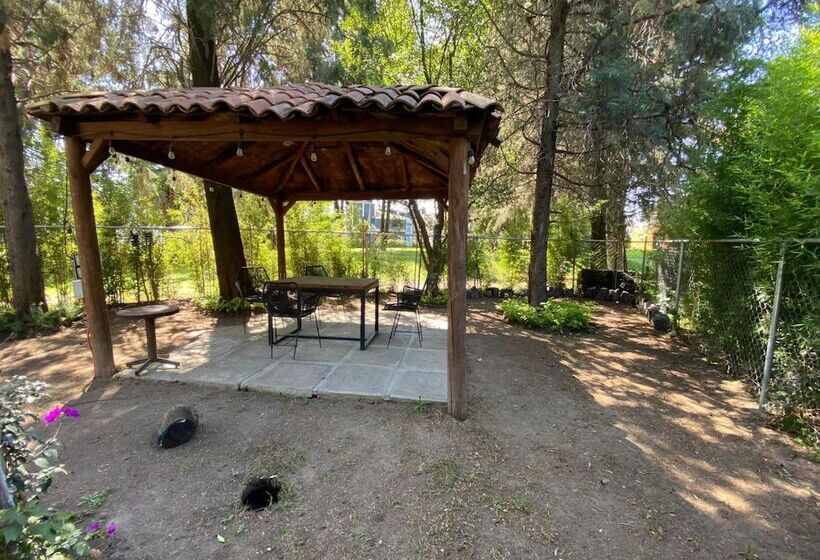 酒店 Capital O La Huerta Golf &