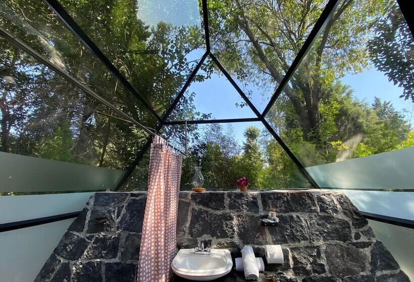 酒店 Capital O La Huerta Golf &