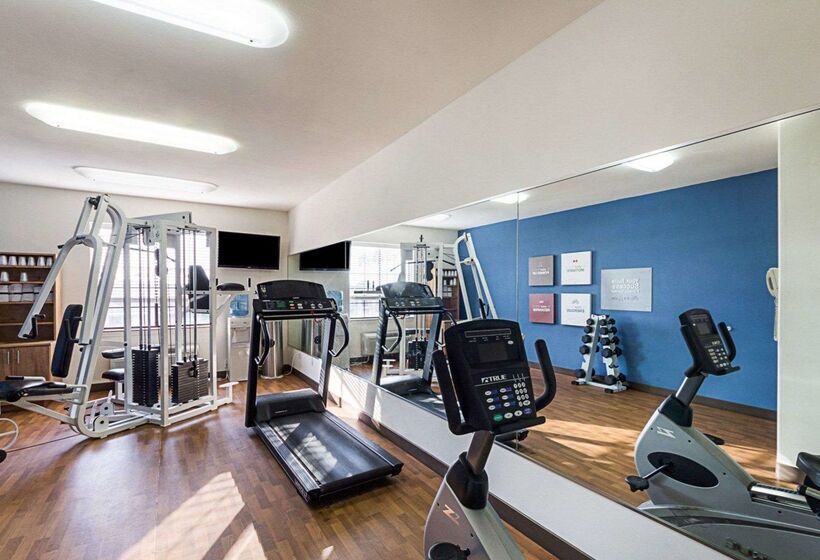 فندق Comfort Suites At Plaza Mall