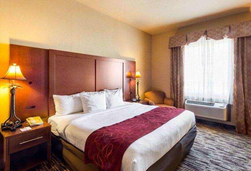 فندق Comfort Suites At Plaza Mall