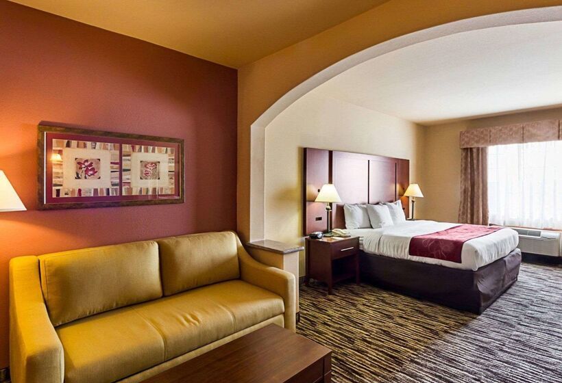 فندق Comfort Suites At Plaza Mall