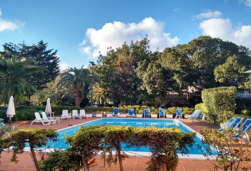 Отель Conchiglia D'oro