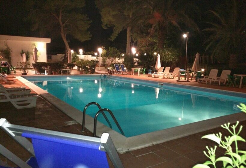 Отель Conchiglia D'oro