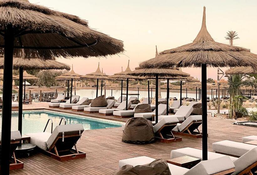 酒店 Cook’s Club El Gouna