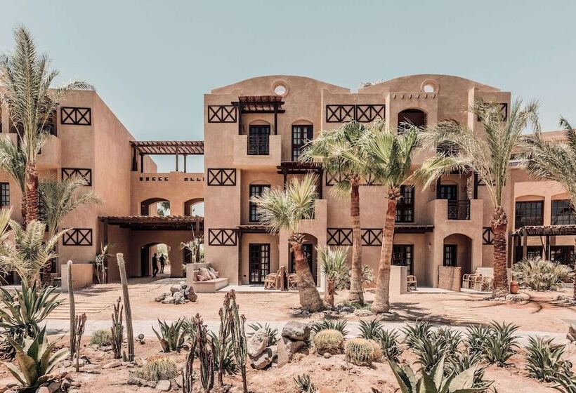 酒店 Cook’s Club El Gouna