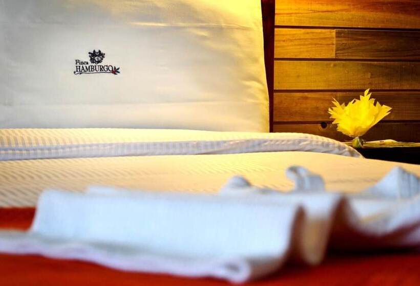 Отель Finca Hamburgo