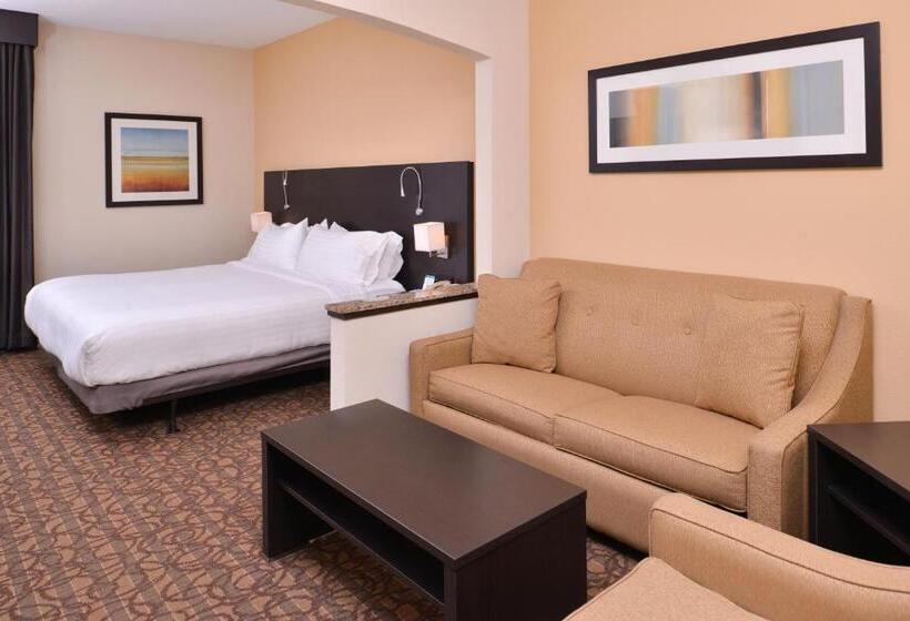 Отель Holiday Inn Express & Suites Topeka West I 70 Wanamaker, An Ihg