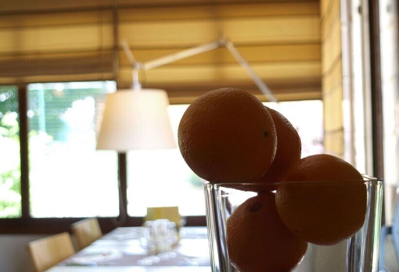 酒店 Kyriad Tours Sud  Chambraylestours