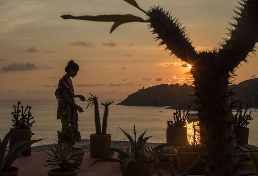 ホテル La Casa Que Canta