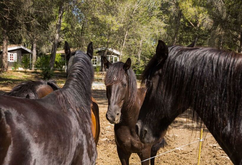 בית מלון כפרי La Villa Vicha, The Originals Relais