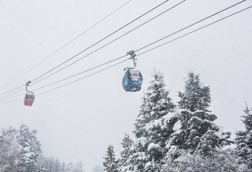 酒店 Màgic Ski by Nexta