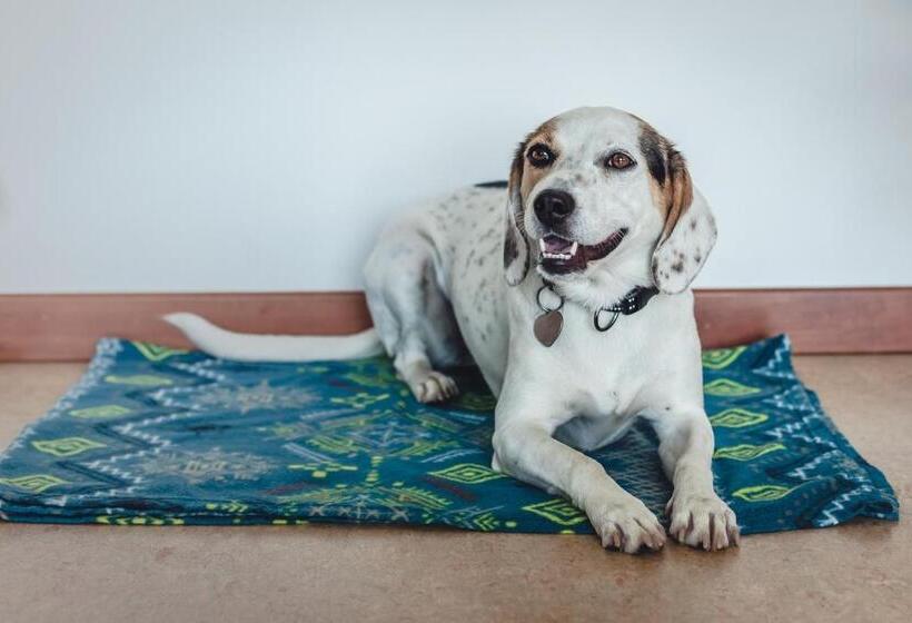 Отель Montemezzi