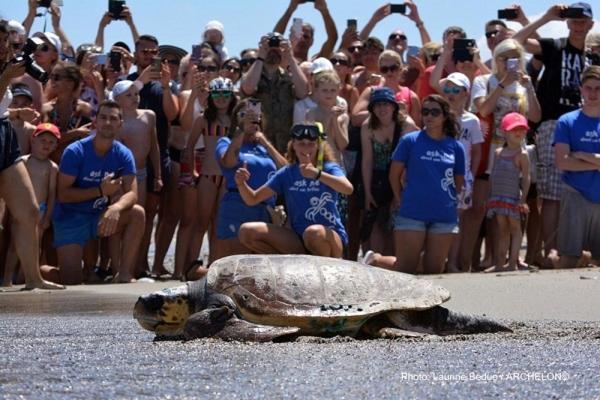 ホテル Palmyra Beach