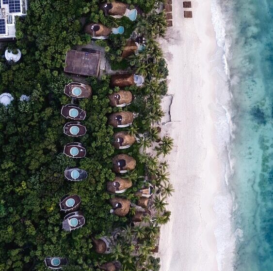 هتل Papaya Playa Project