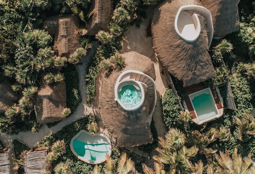 هتل Papaya Playa Project