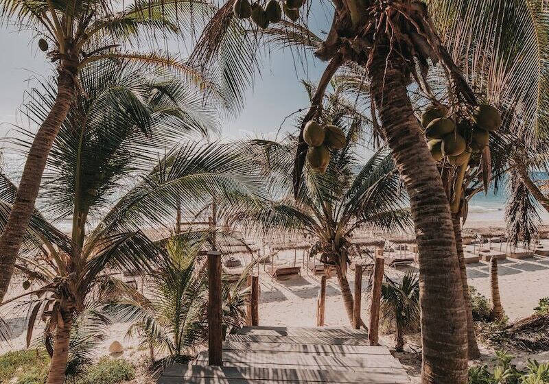 هتل Papaya Playa Project