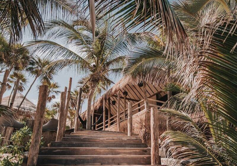 هتل Papaya Playa Project