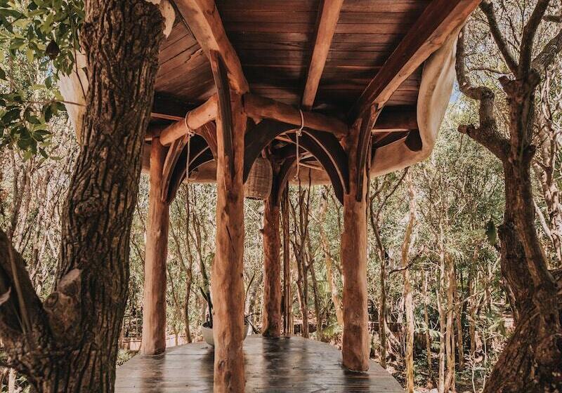 هتل Papaya Playa Project