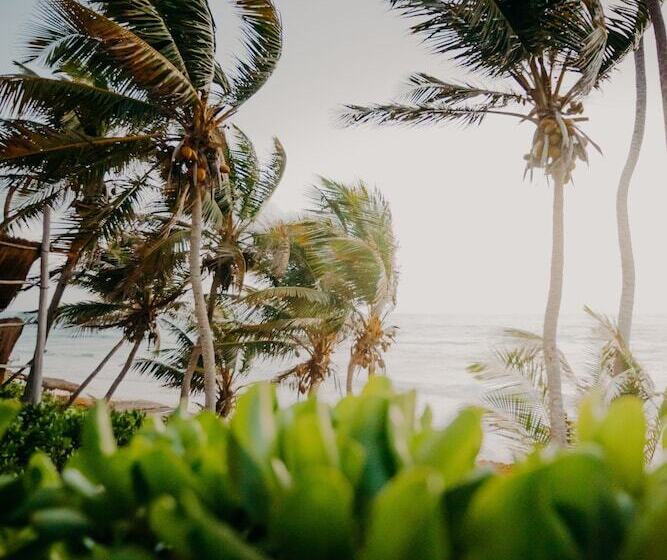 هتل Papaya Playa Project