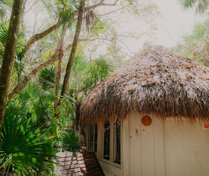 هتل Papaya Playa Project