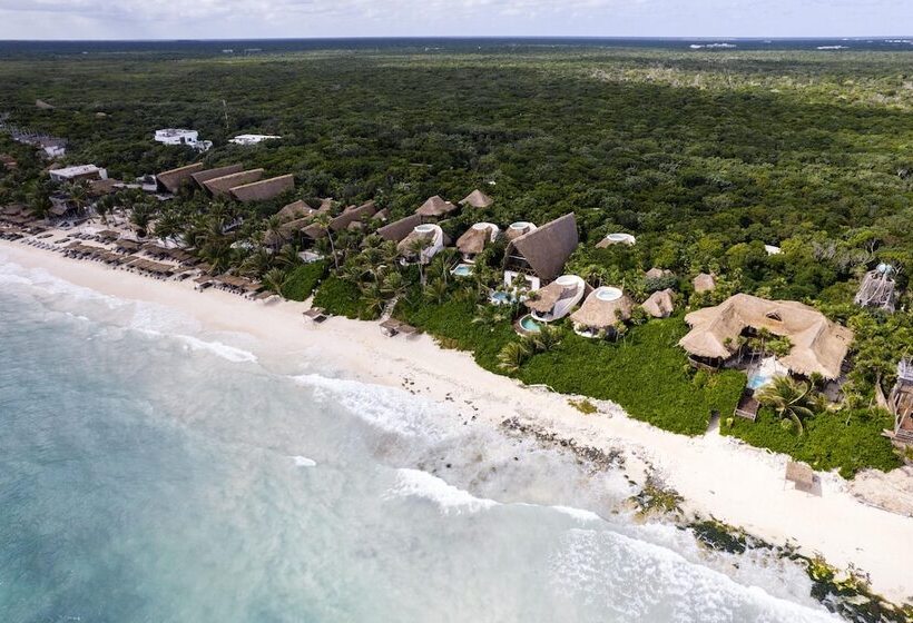 هتل Papaya Playa Project