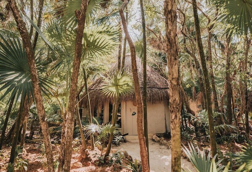 هتل Papaya Playa Project