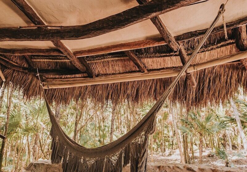 هتل Papaya Playa Project