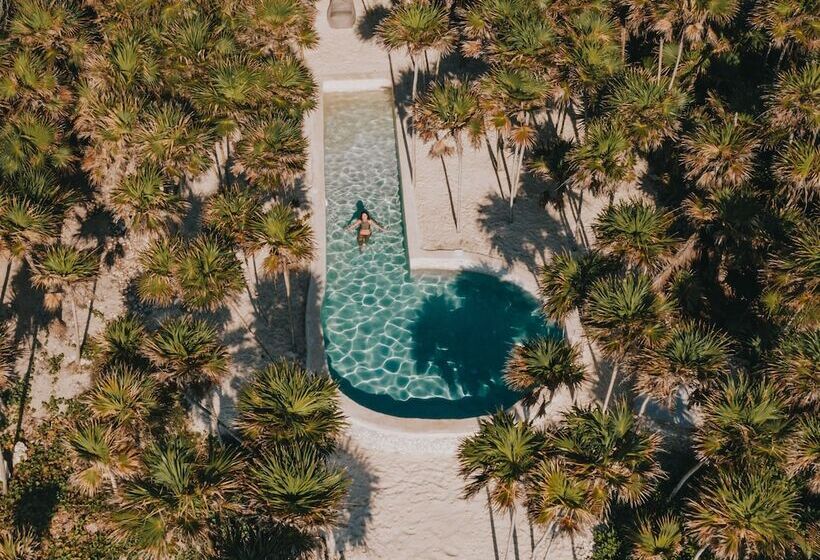 هتل Papaya Playa Project