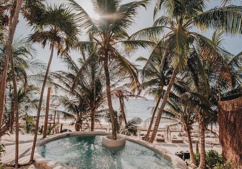 هتل Papaya Playa Project