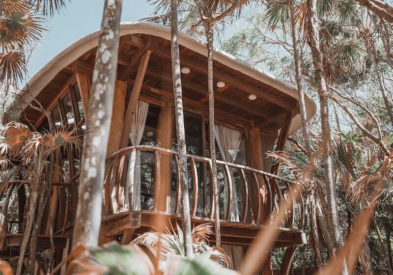 هتل Papaya Playa Project