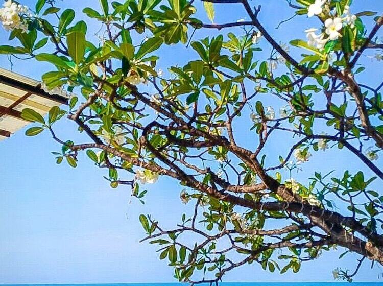 בית מלון כפרי Purimuntra Resort & Spa